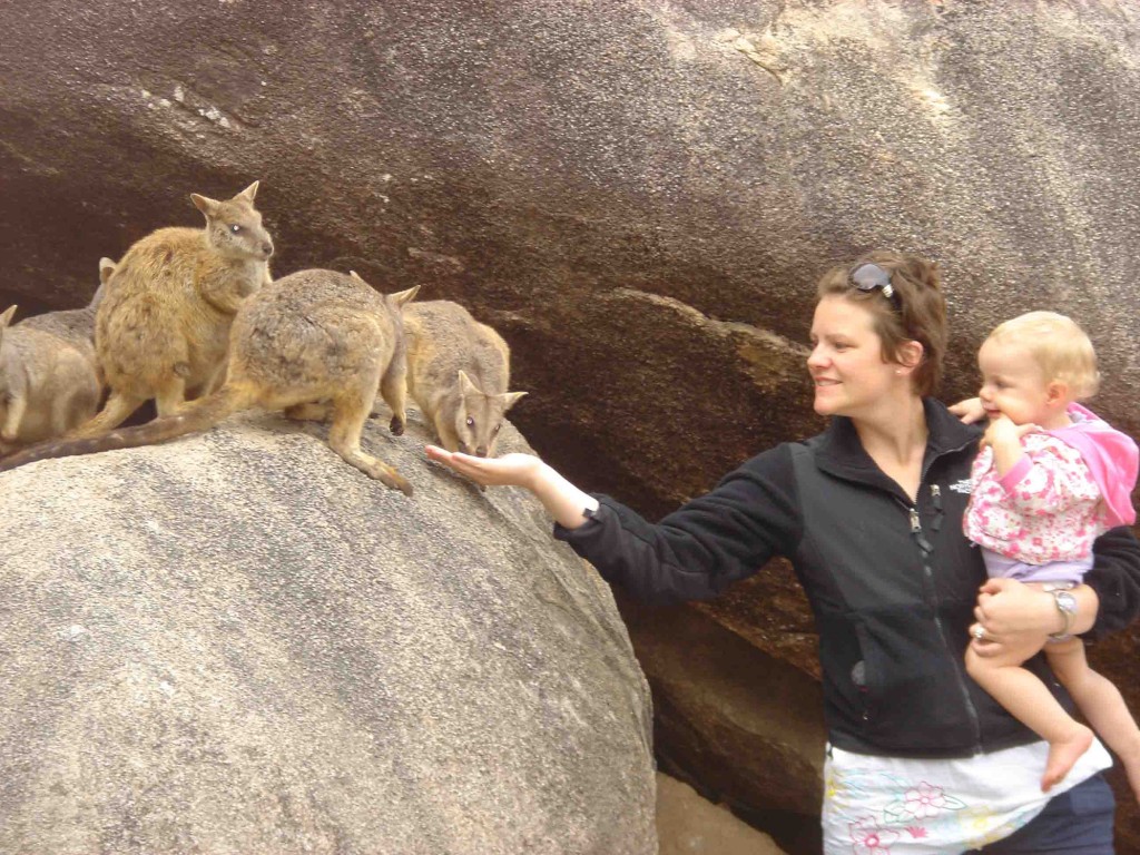 Wallabies